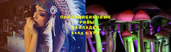ALPHA PVP Верея
