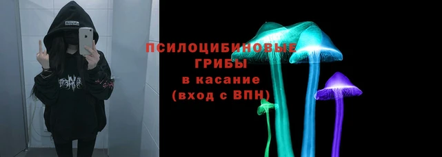ALPHA PVP Верея