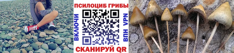 Галлюциногенные грибы мухоморы  Купить где  Мегион 